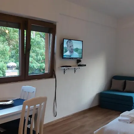 Vasiliki Apartment Virpazar Exterior photo