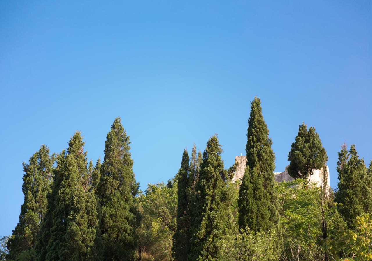 Apartment Vasiliki